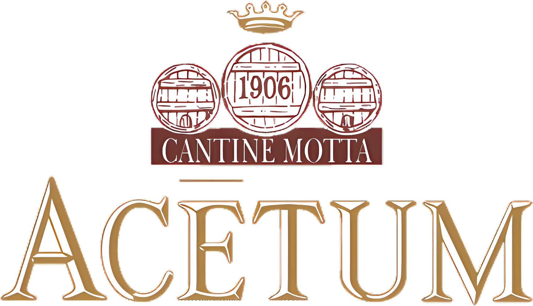 Acetum logo