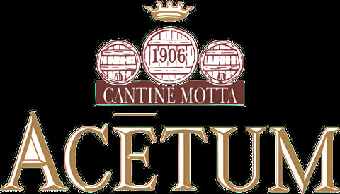 Acetum logo