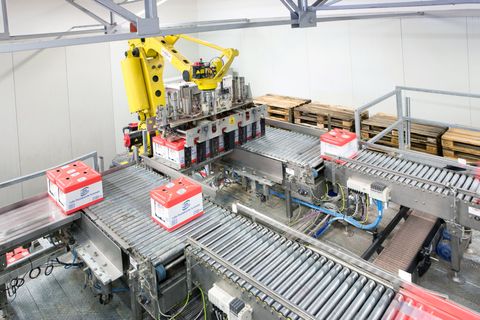 Robotic Palletising Cells — Isole robotizzate